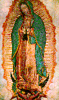 Our Lady of Guadalupe